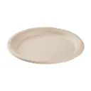 10 | Bagasse | White | Round Plate | 500