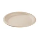 10 | 3C | Bagasse | White | Round Plate | 500