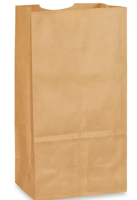 #4 | Brown | Paper Bag | 500