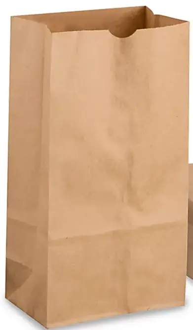#6 | Daisy | Brown Paper Bag | 500