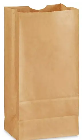 #8 | Daisy | Brown Paper Bag | 500