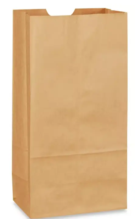 #12 | Brown | Paper Bag | 500