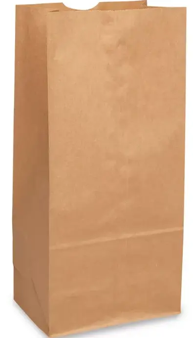 #16 | Brown | Paper Bag | 500