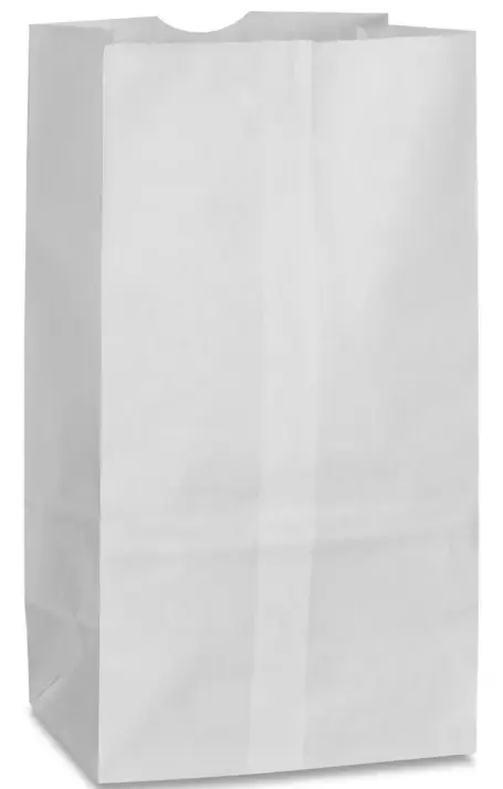 #420 | White | Paper Bag | 500