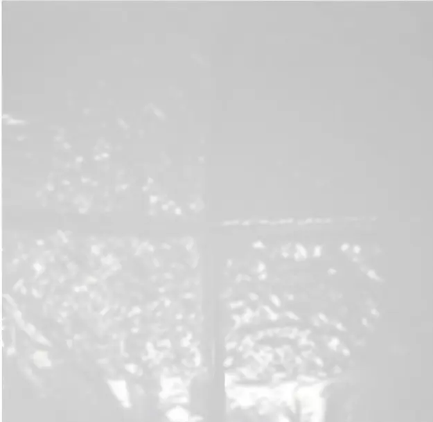 Lettuce Wrap | CASE | 13x13 | 5000