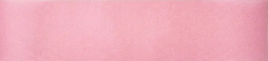 PC | 10x30 | Pink | Platter Paper | 1000