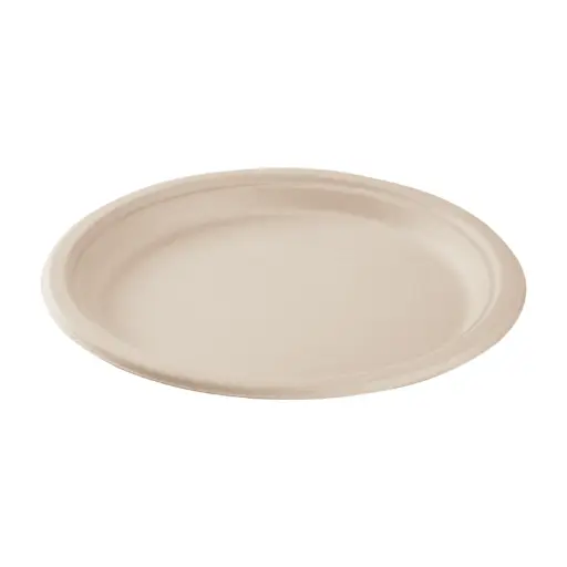 [sku17-491] 10 | 1C | Bagasse | White | Round Plate | 500