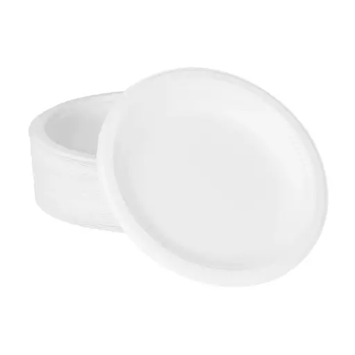 [sku17-487] 6 | KE-BPR06-1CFF | White | Bagasse | Round Plate | 1000