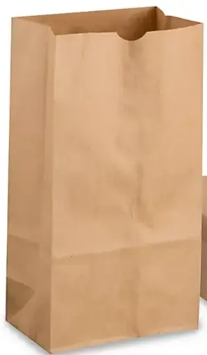 [sku10-006] #6 | Brown Paper Bag | 500