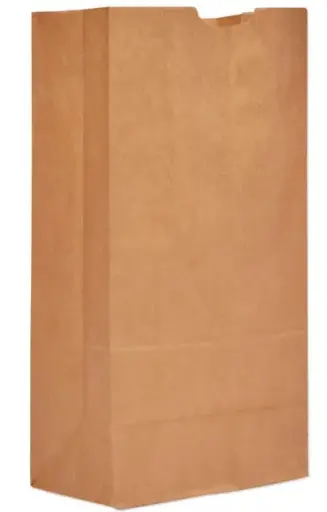 [sku10-020-d] Daisy | #420 | Brown | Paper Bag | 500