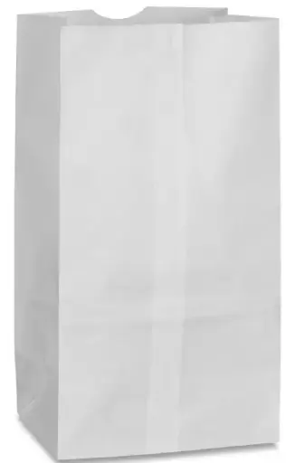 [sku11-004] #4 | White | Paper Bag | 500