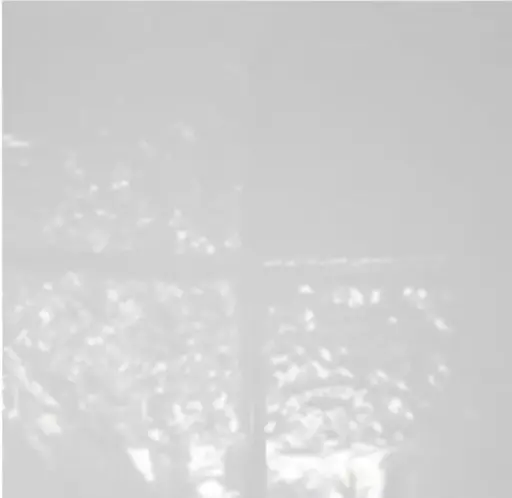 [sku13-411] Lettuce Wrap | CASE | 13x13 | 5000